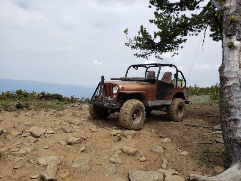 1971 Jeep CJ5, EFI V6, SM420, FF D44s, Detroits, PTO winch For Sale - 1