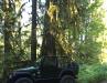 1998 Jeep Wrangler TJ on 37" Toyos, 4.88s, locked, Warn 9.5 - 4